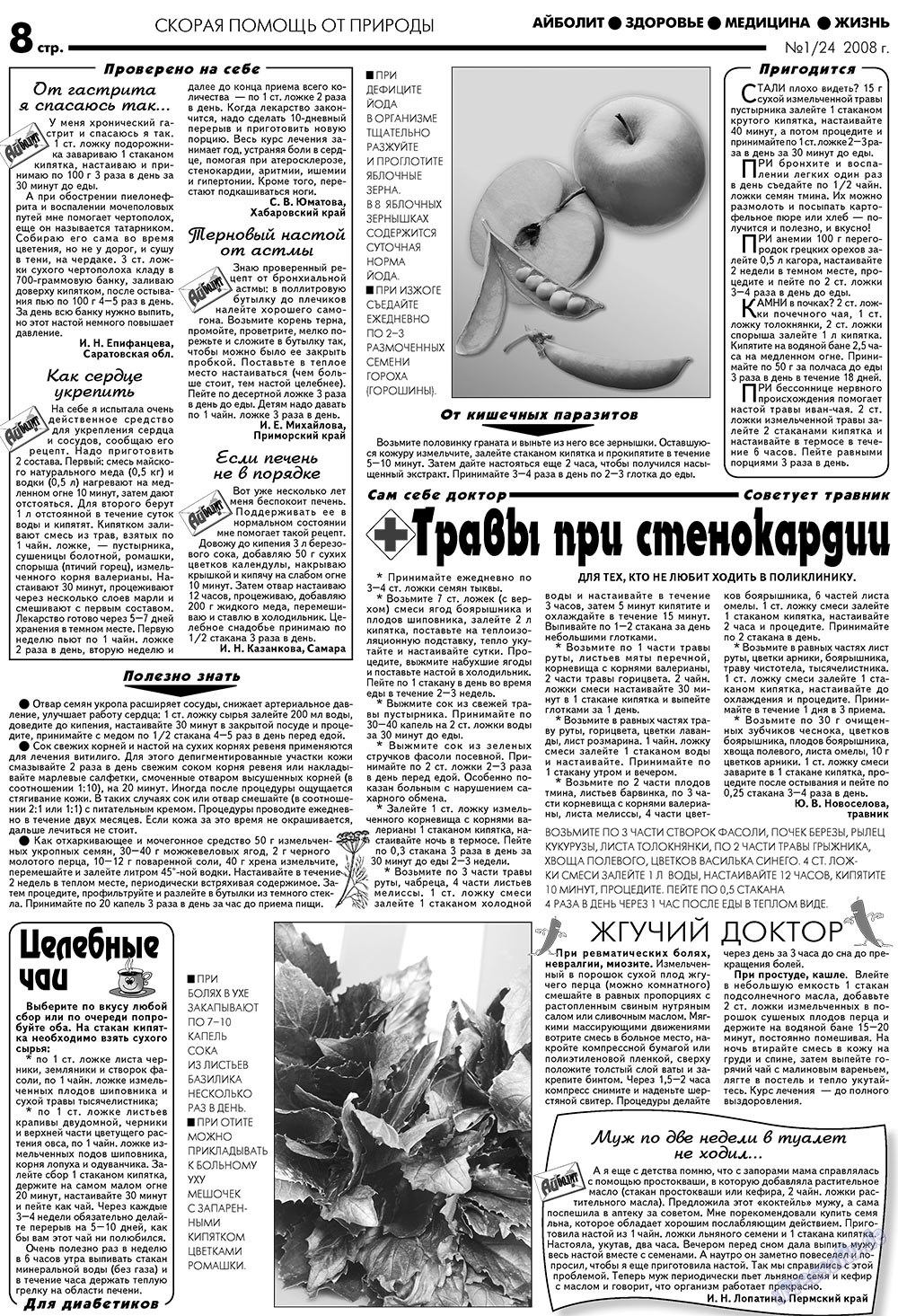 Aibolit (Zeitung). 2008 Jahr, Ausgabe 1, Seite 8