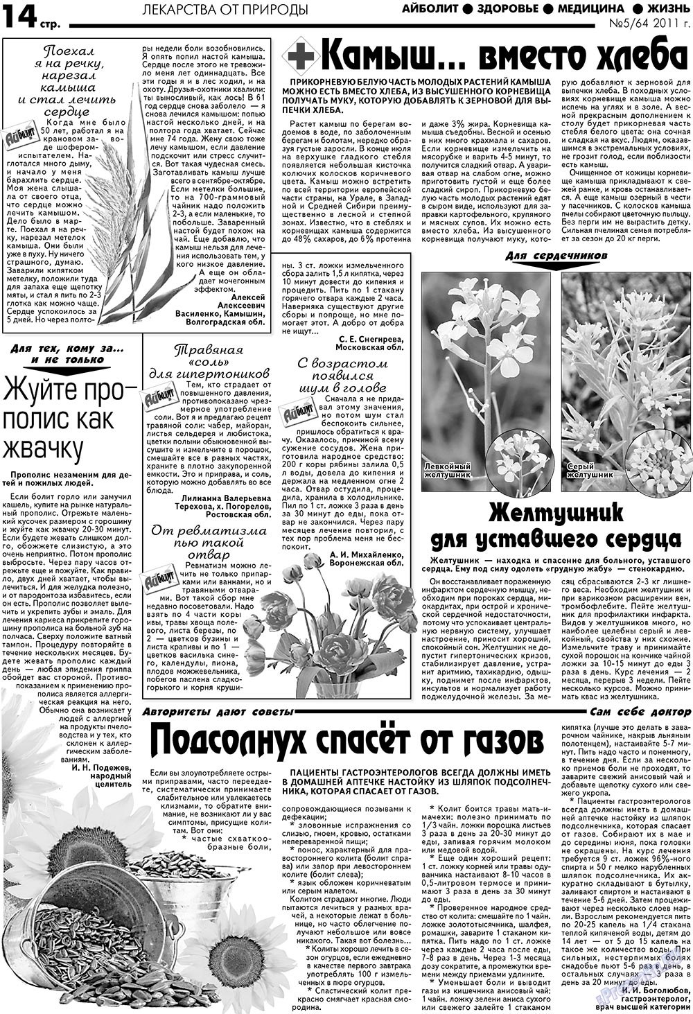 Aibolit (Zeitung). 2011 Jahr, Ausgabe 5, Seite 14