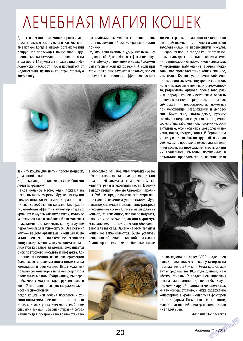 Antenne (Zeitschrift). 2011 Jahr, Ausgabe 11, Seite 20