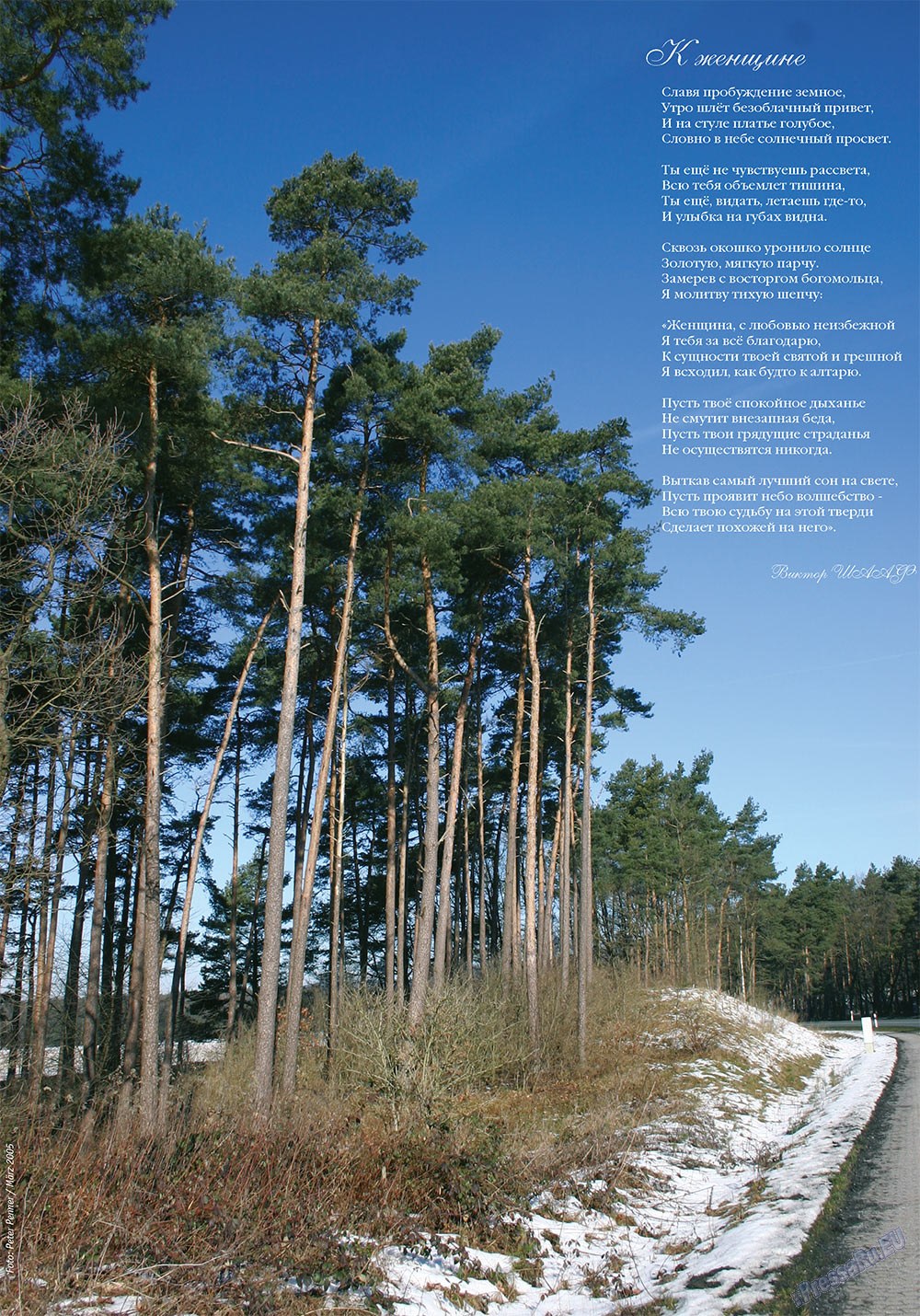 Ost-West Panorama (Zeitschrift). 2010 Jahr, Ausgabe 3, Seite 52