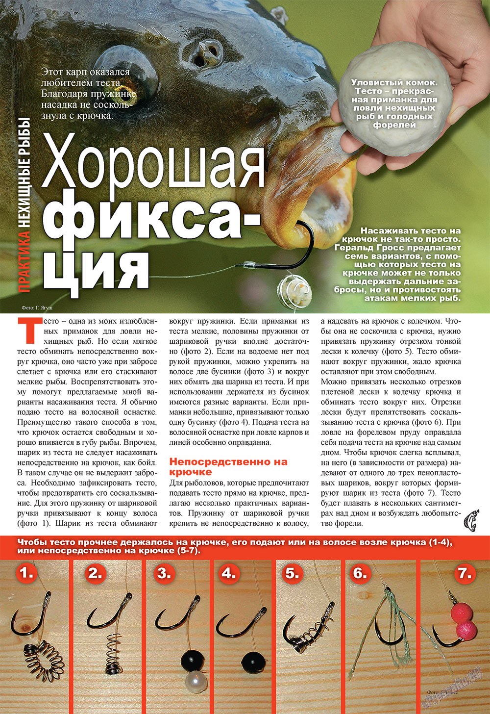 Angeln Plus (Zeitschrift). 2010 Jahr, Ausgabe 3, Seite 10
