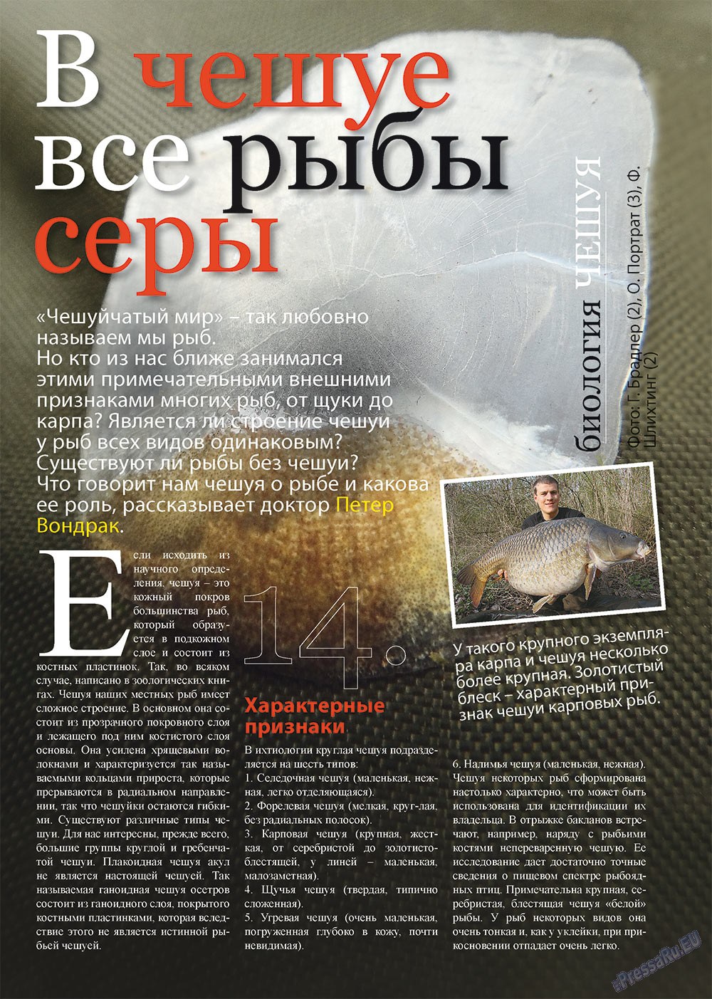 Angeln Plus (Zeitschrift). 2012 Jahr, Ausgabe 8, Seite 14