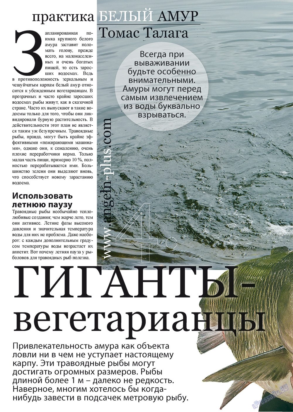Angeln Plus (Zeitschrift). 2012 Jahr, Ausgabe 8, Seite 4
