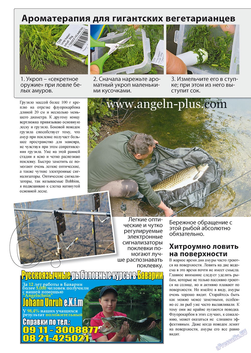 Angeln Plus (Zeitschrift). 2012 Jahr, Ausgabe 8, Seite 6