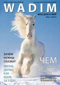 журнал Wadim, 2013 год, 12 номер