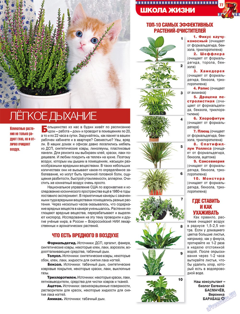 7plus7ja (Zeitschrift). 2012 Jahr, Ausgabe 8, Seite 77