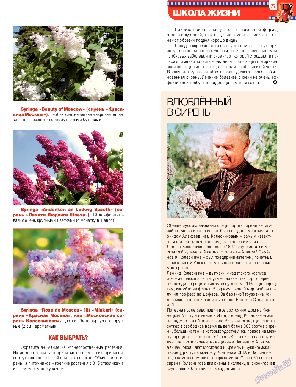 7плюс7я, журнал. 2014 №21 стр.77