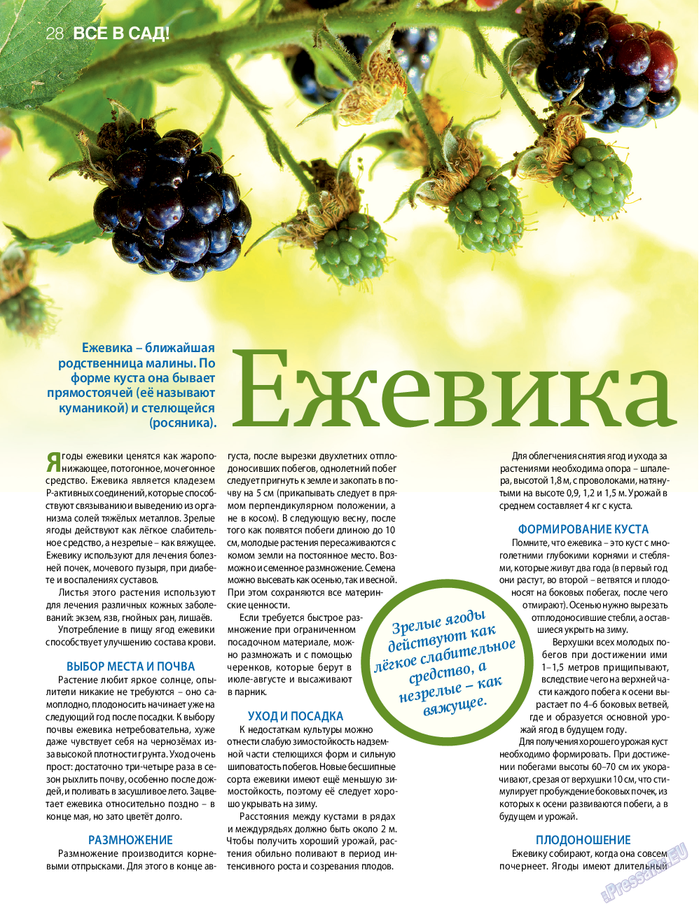 7плюс7я, журнал. 2015 №17 стр.28