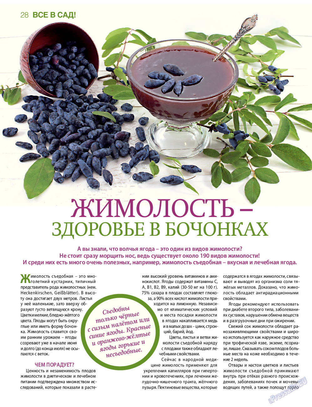 7плюс7я, журнал. 2015 №21 стр.28