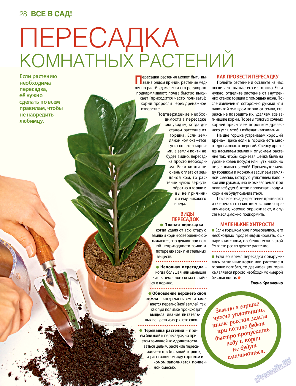 7плюс7я, журнал. 2015 №47 стр.28