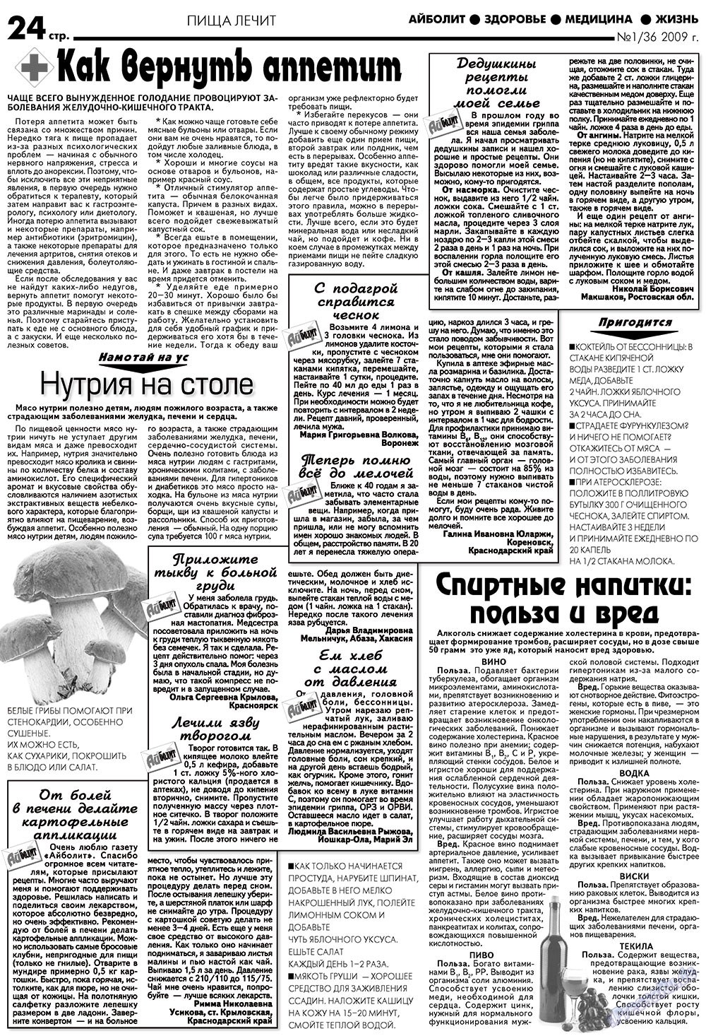 АйБолит (газета). 2009 год, номер 1, стр. 24