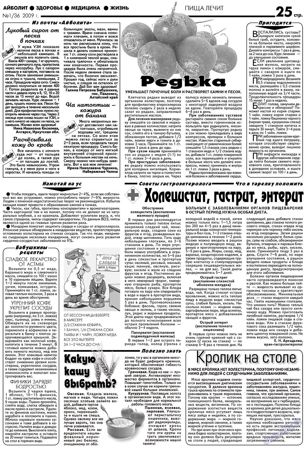АйБолит (газета). 2009 год, номер 1, стр. 25