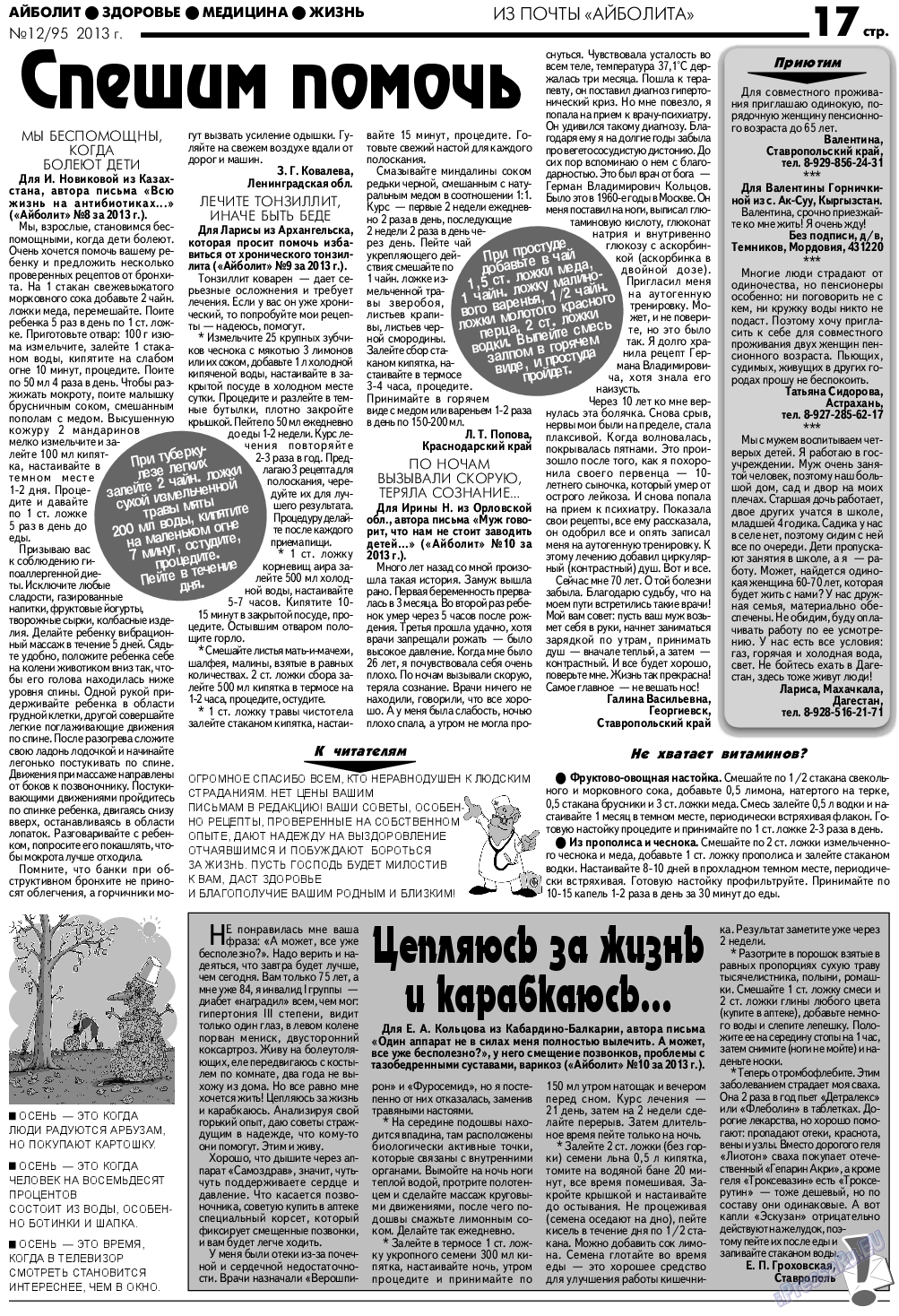 АйБолит (газета). 2013 год, номер 12, стр. 17