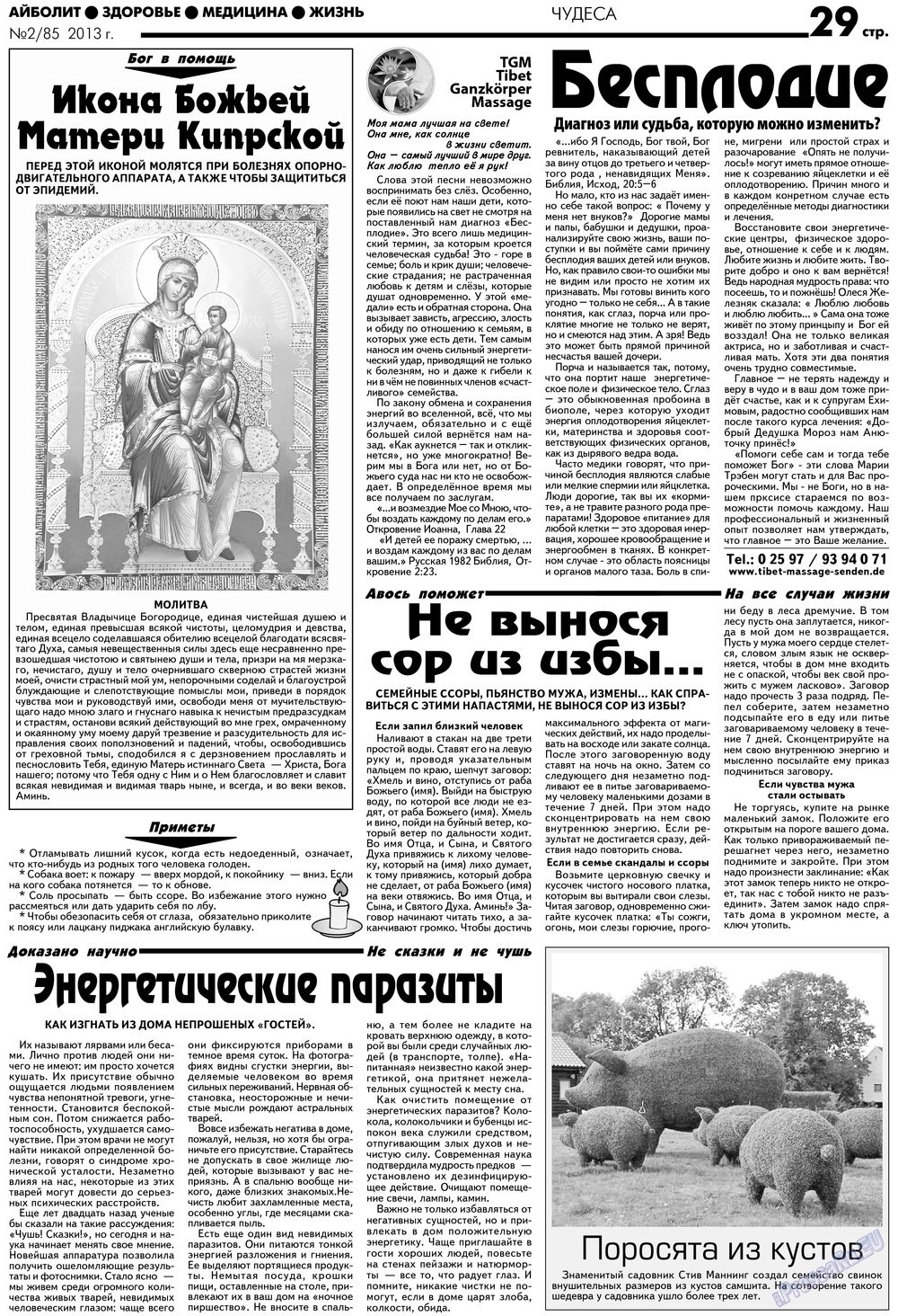АйБолит, газета. 2013 №2 стр.29