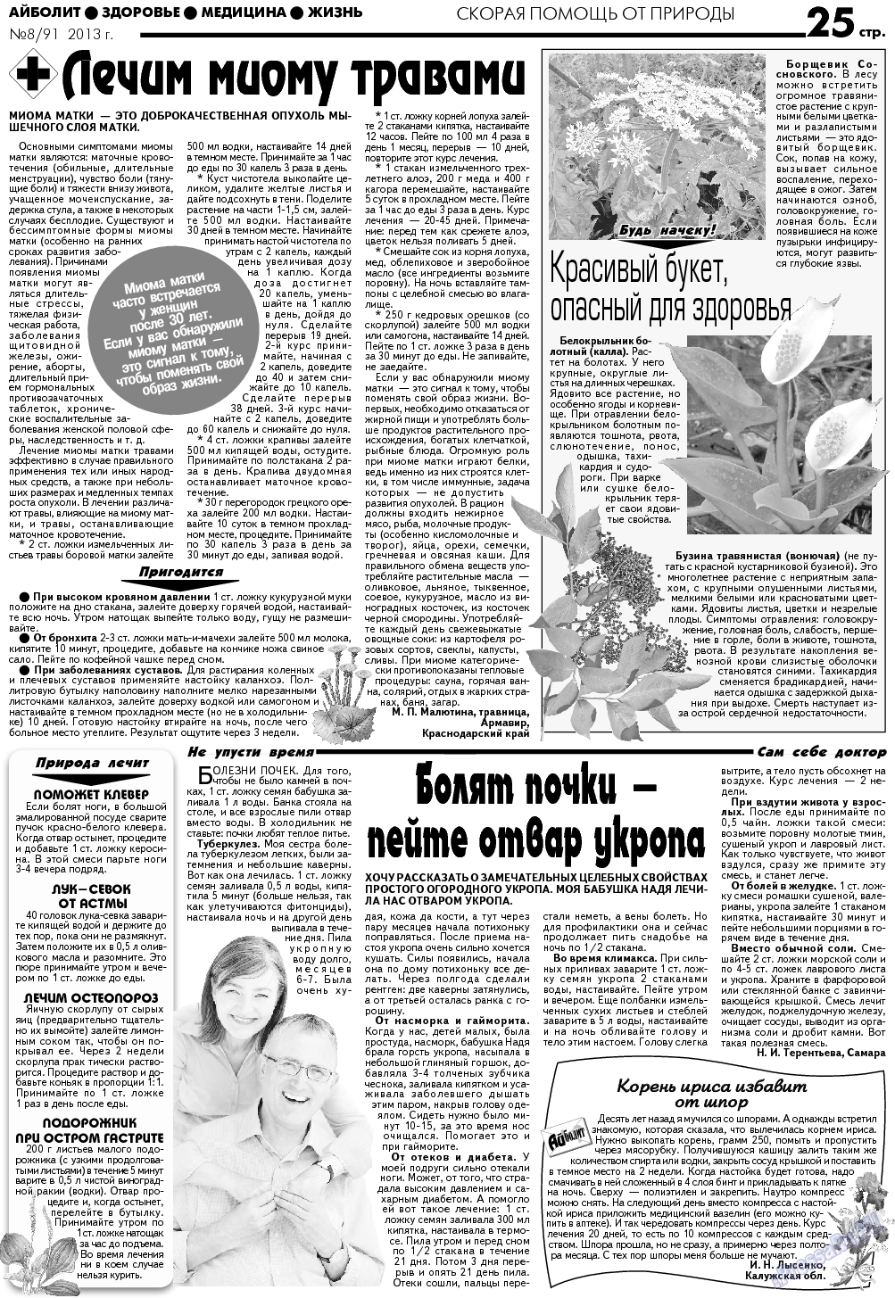 АйБолит, газета. 2013 №8 стр.25