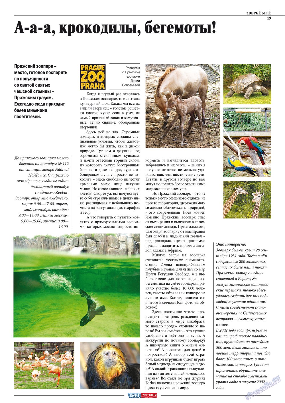 Chehia segodnja (Zeitschrift). 2011 Jahr, Ausgabe 164, Seite 21