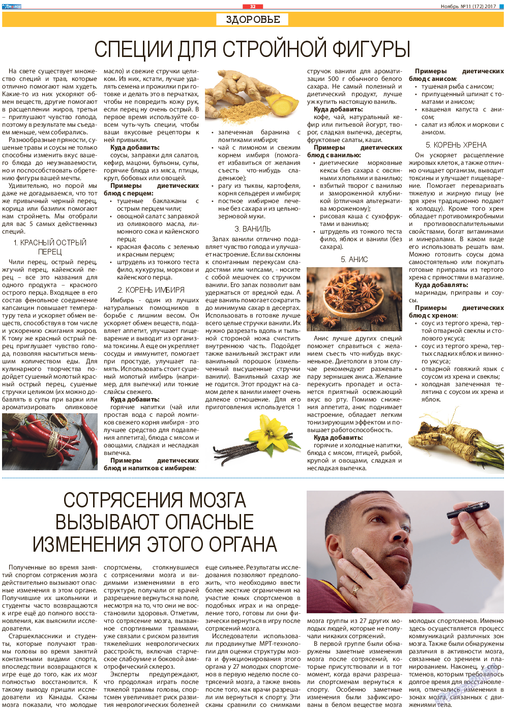 Диалог, газета. 2017 №11 стр.32