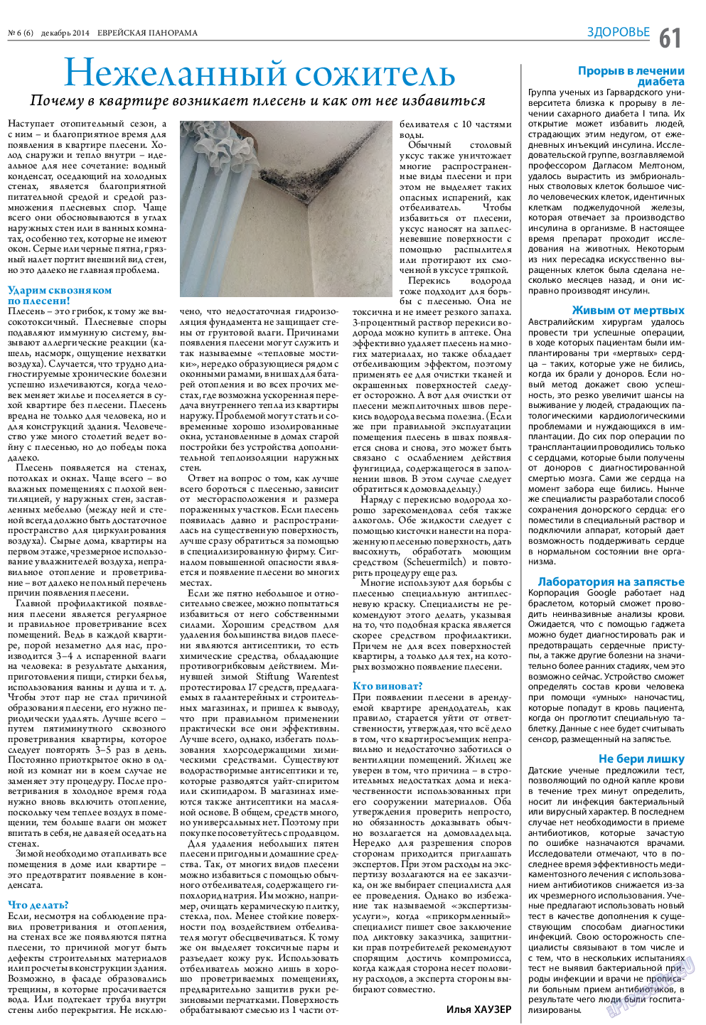 Еврейская панорама, газета. 2014 №6 стр.61