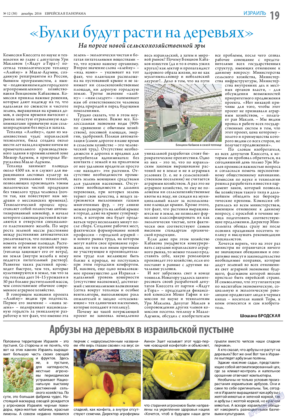 Еврейская панорама, газета. 2016 №12 стр.19