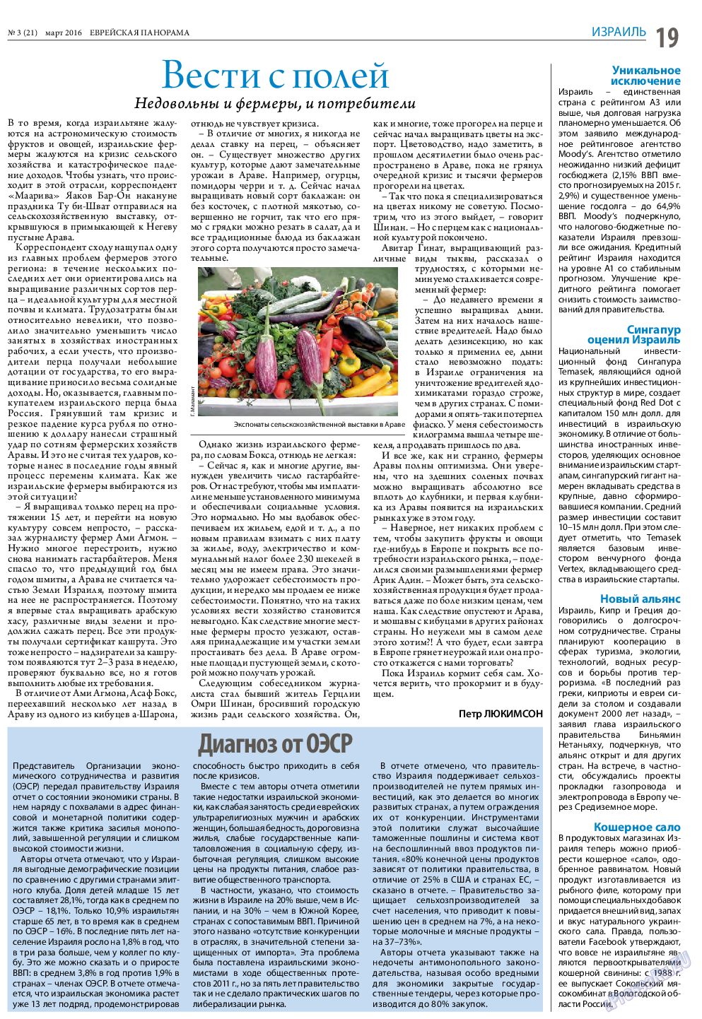 Еврейская панорама, газета. 2016 №3 стр.19