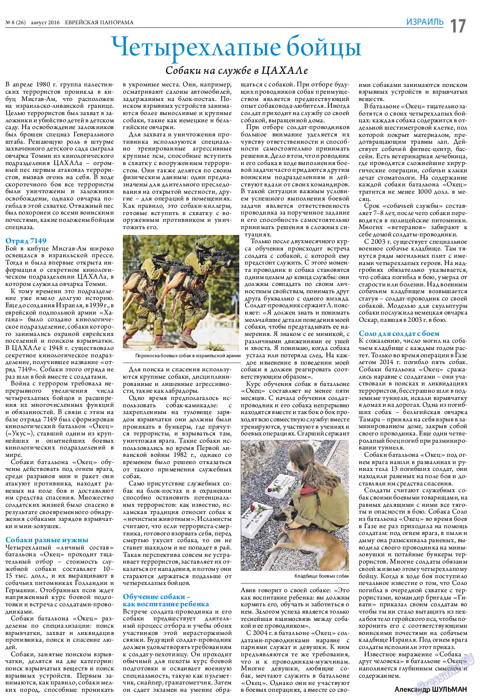 Еврейская панорама, газета. 2016 №8 стр.17