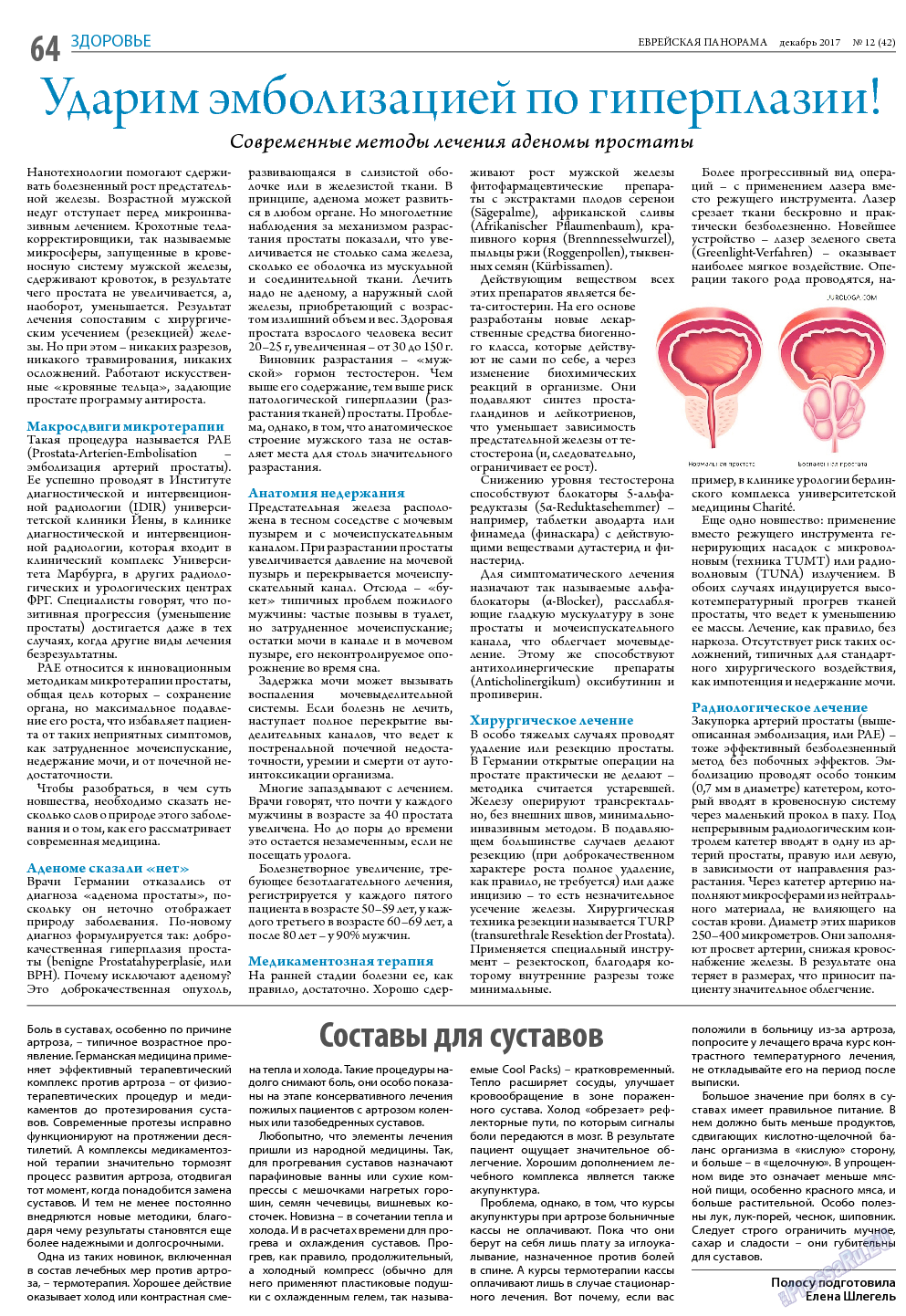 Еврейская панорама, газета. 2017 №12 стр.64