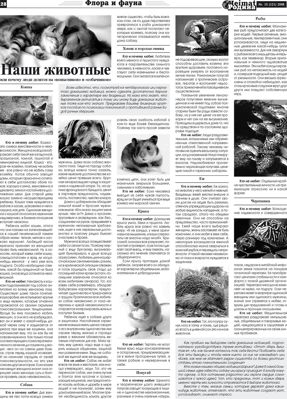 Heimat-Родина (газета). 2008 год, номер 10, стр. 28