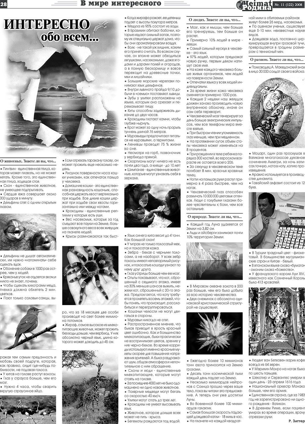 Heimat-Родина (газета). 2008 год, номер 11, стр. 28