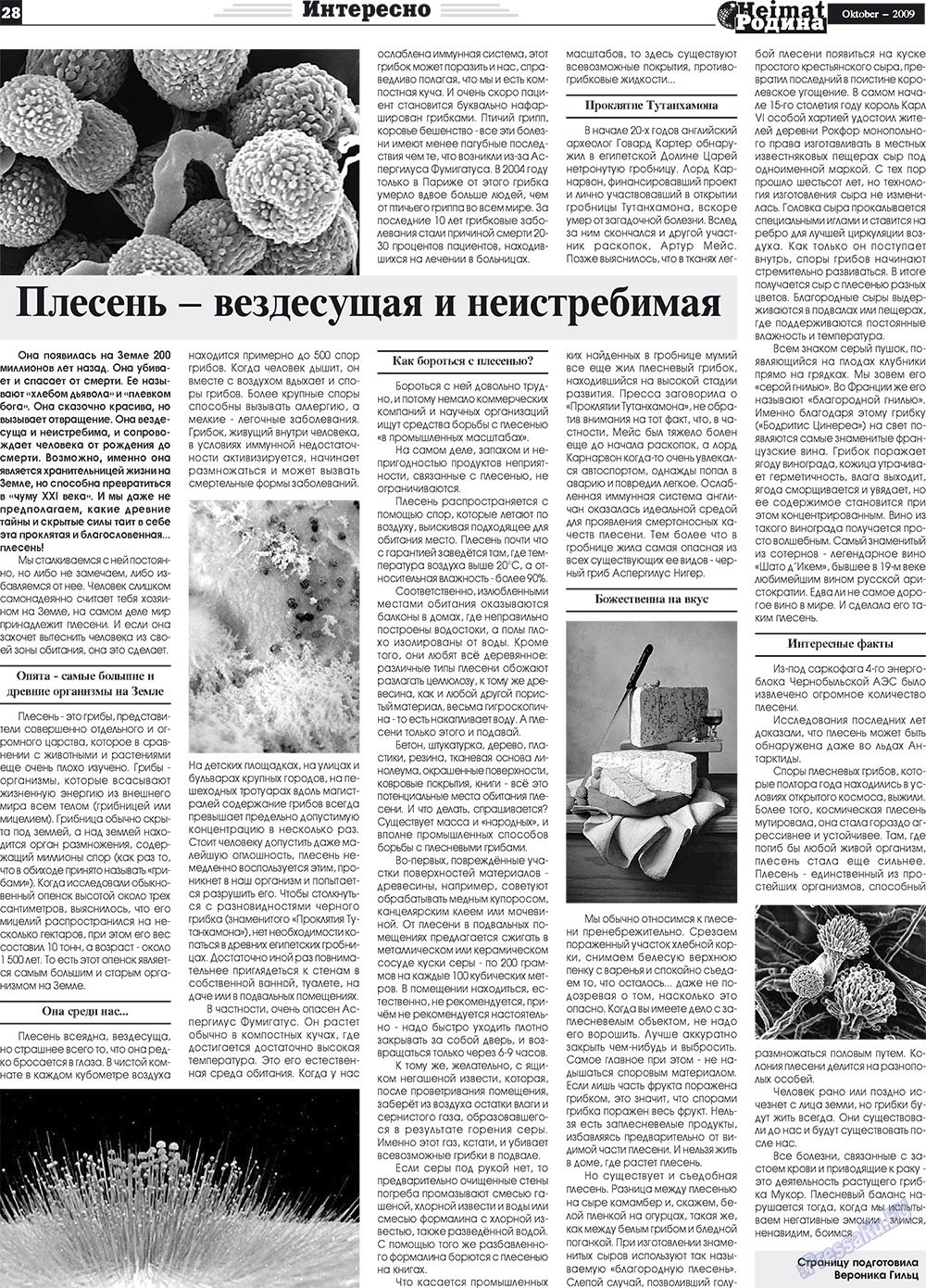 Heimat-Родина (газета). 2009 год, номер 10, стр. 28