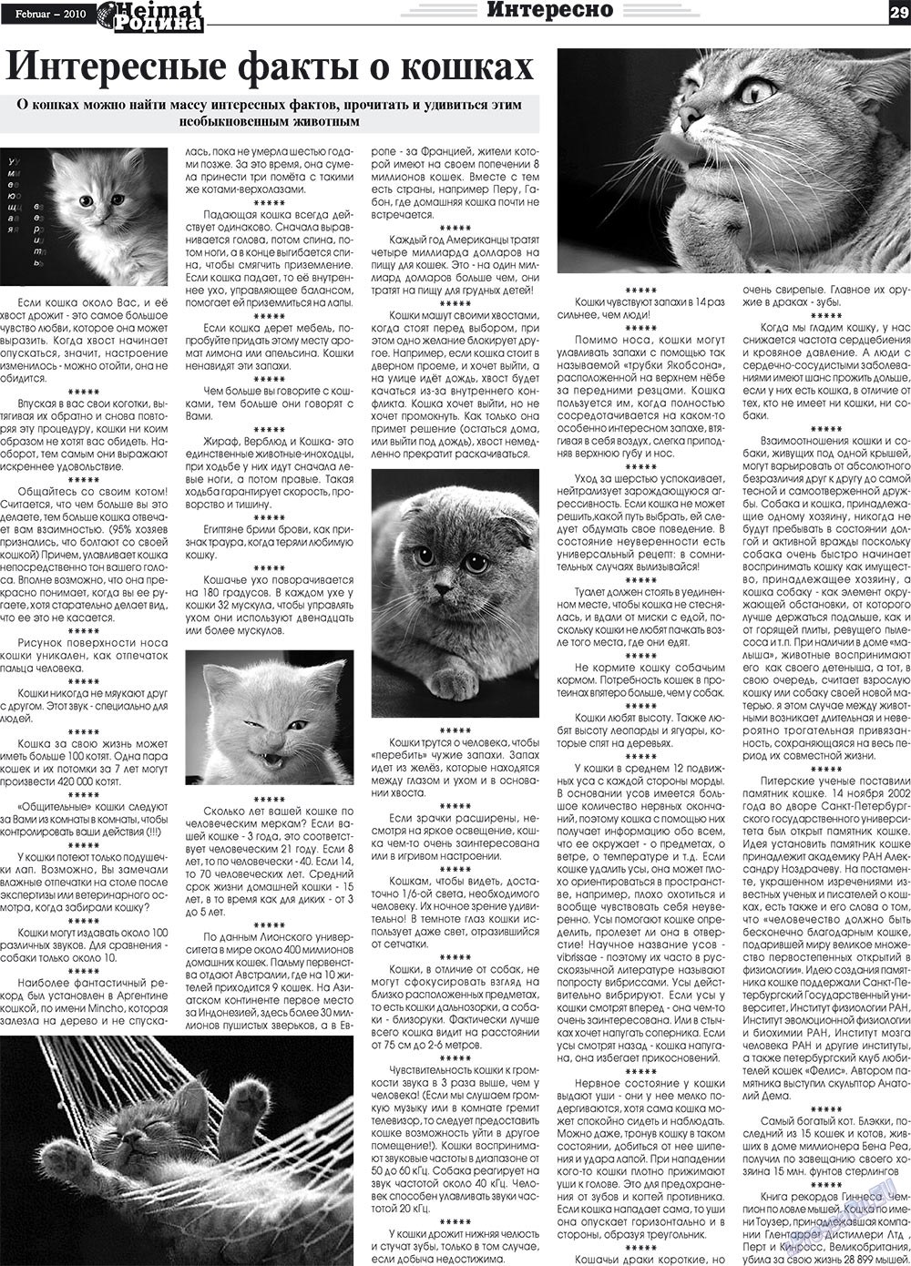 Heimat-Родина (газета). 2010 год, номер 2, стр. 29