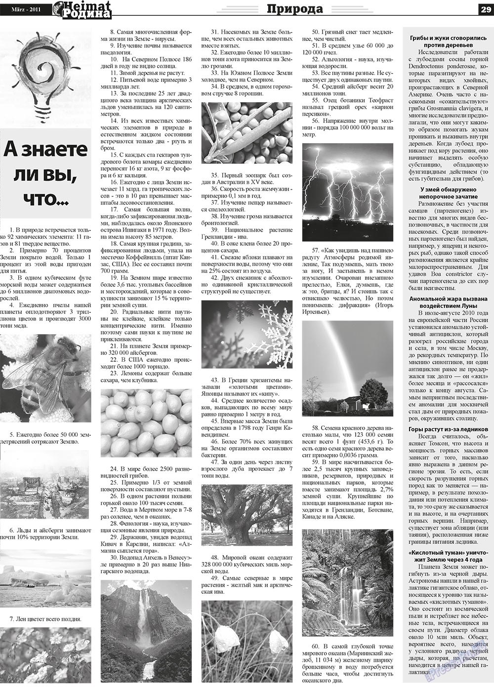 Heimat-Родина (газета). 2011 год, номер 3, стр. 29