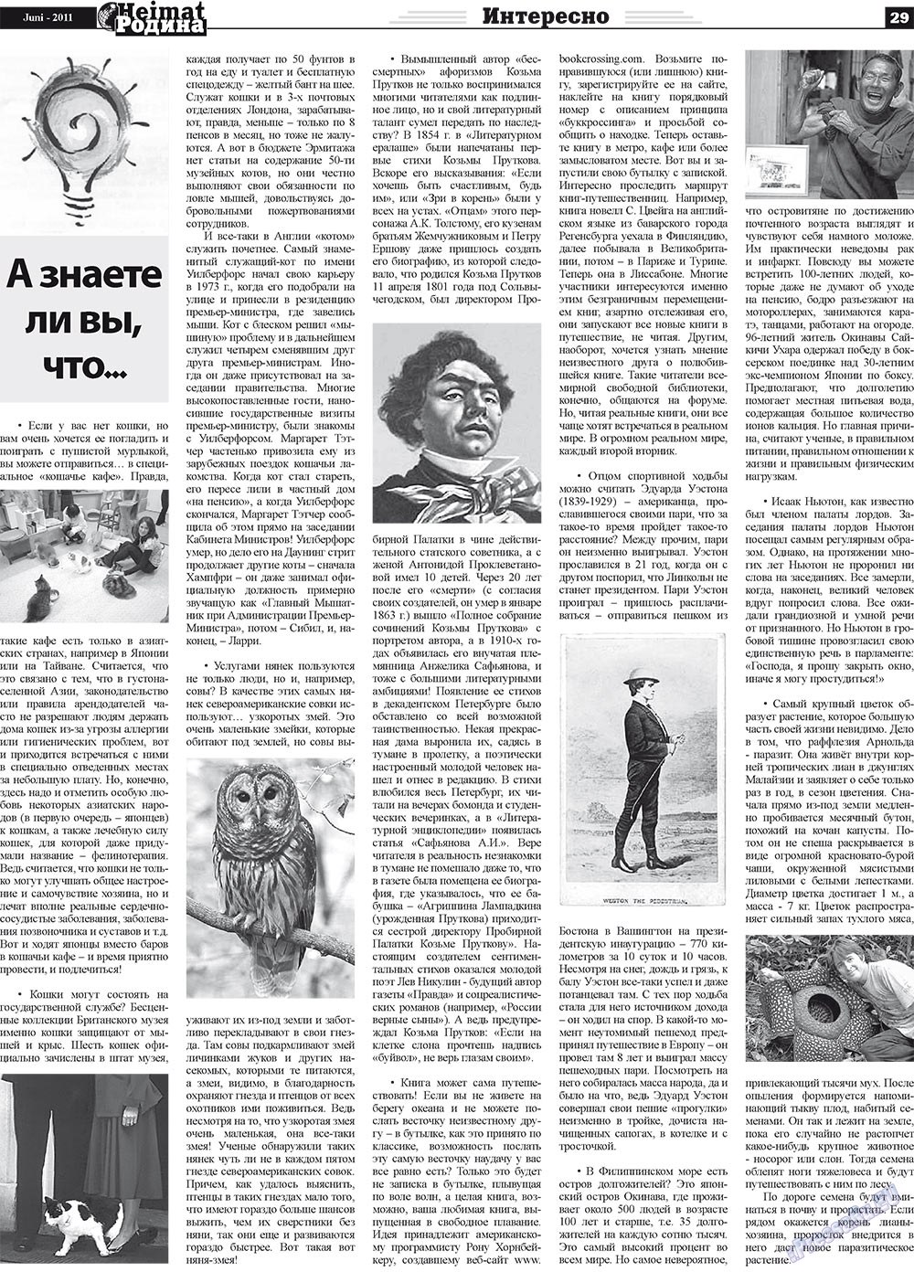 Heimat-Родина (газета). 2011 год, номер 6, стр. 29