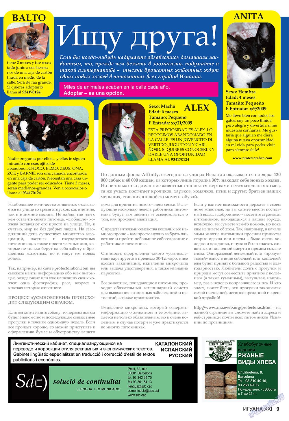 Игуана (журнал). 2010 год, номер 4, стр. 9