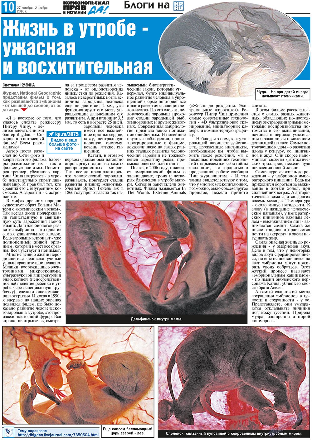 KP Spanien (Zeitung). 2010 Jahr, Ausgabe 43, Seite 10