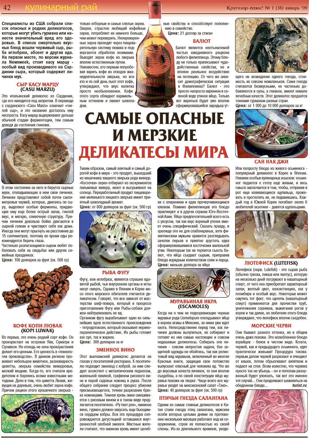 Кругозор плюс!, газета. 2009 №1 стр.42