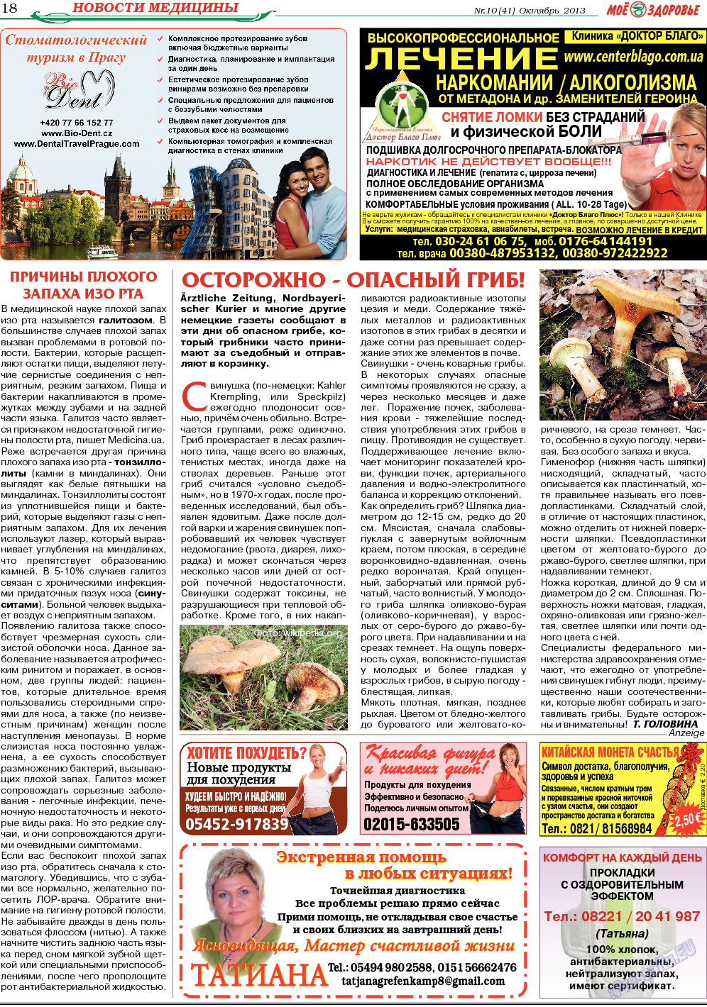 Кругозор, газета. 2013 №10 стр.18