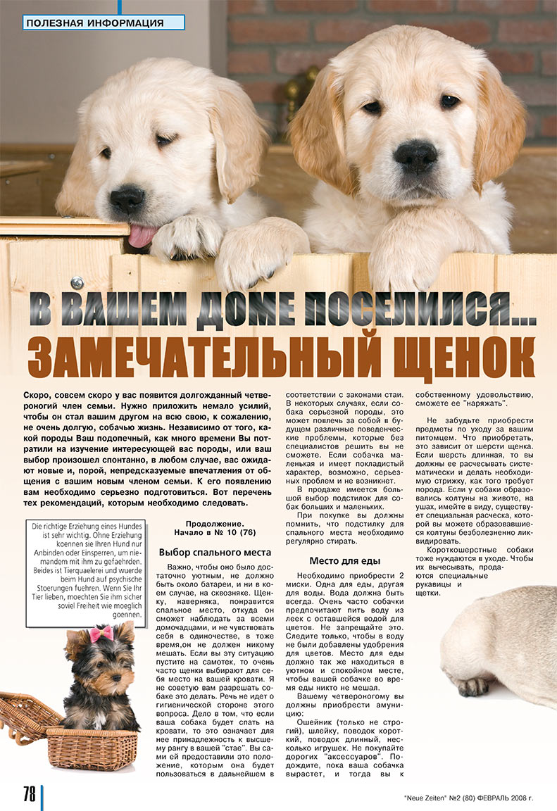 Neue Zeiten, журнал. 2008 №2 стр.76