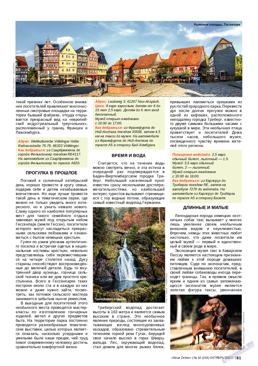 Neue Zeiten, журнал. 2021 №10 стр.61