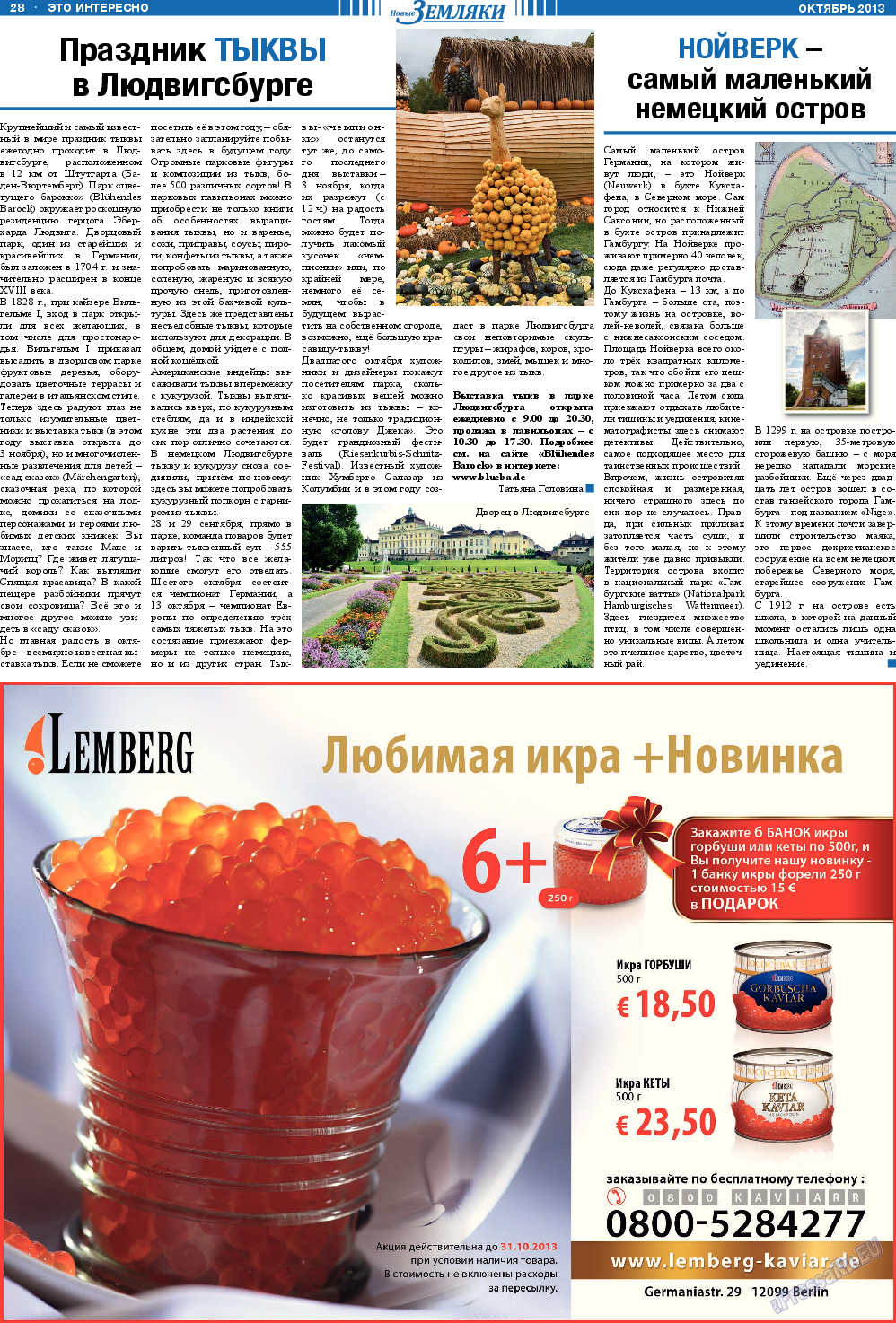Новые Земляки, газета. 2013 №10 стр.28