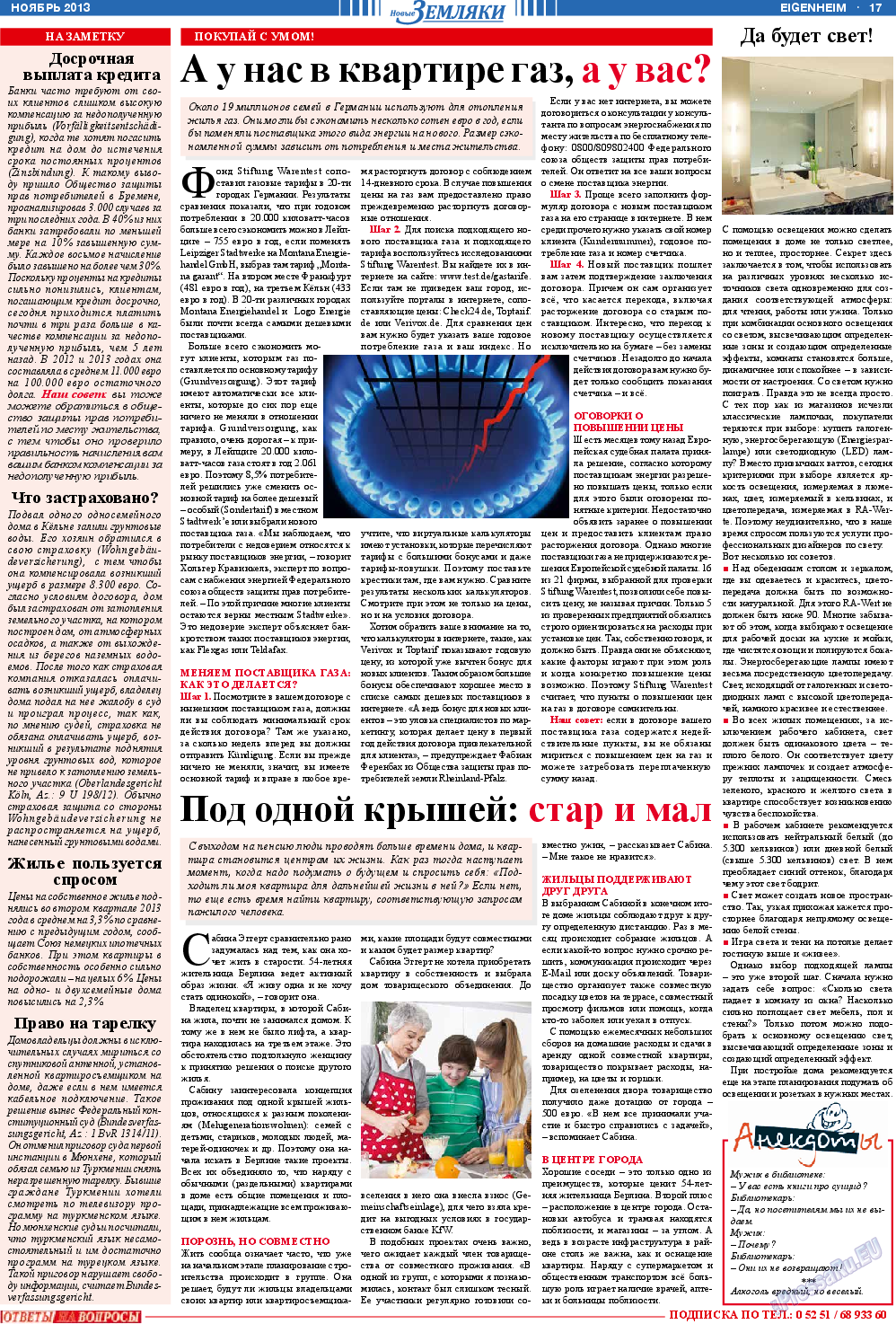 Новые Земляки, газета. 2013 №11 стр.17