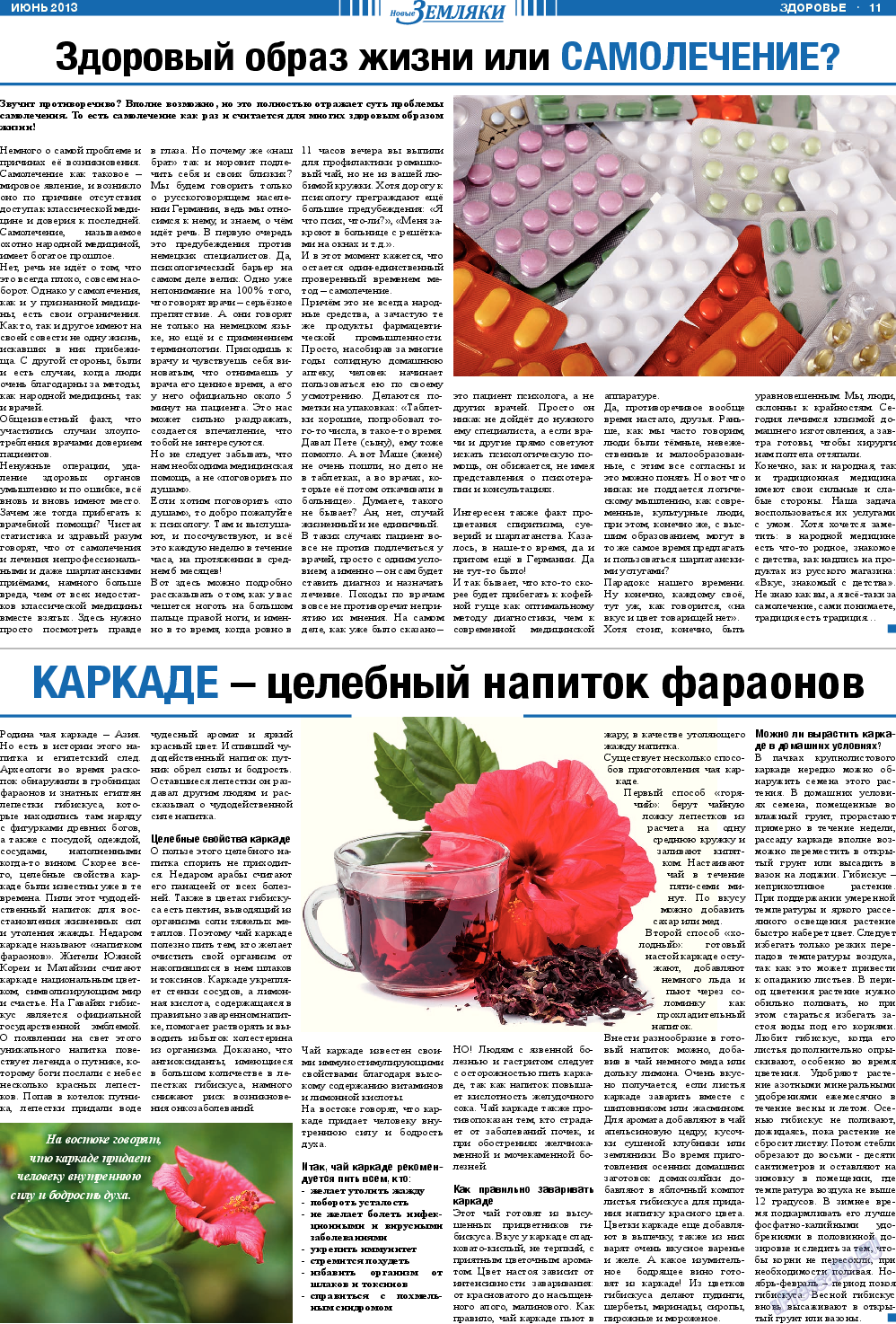 Новые Земляки, газета. 2013 №6 стр.11