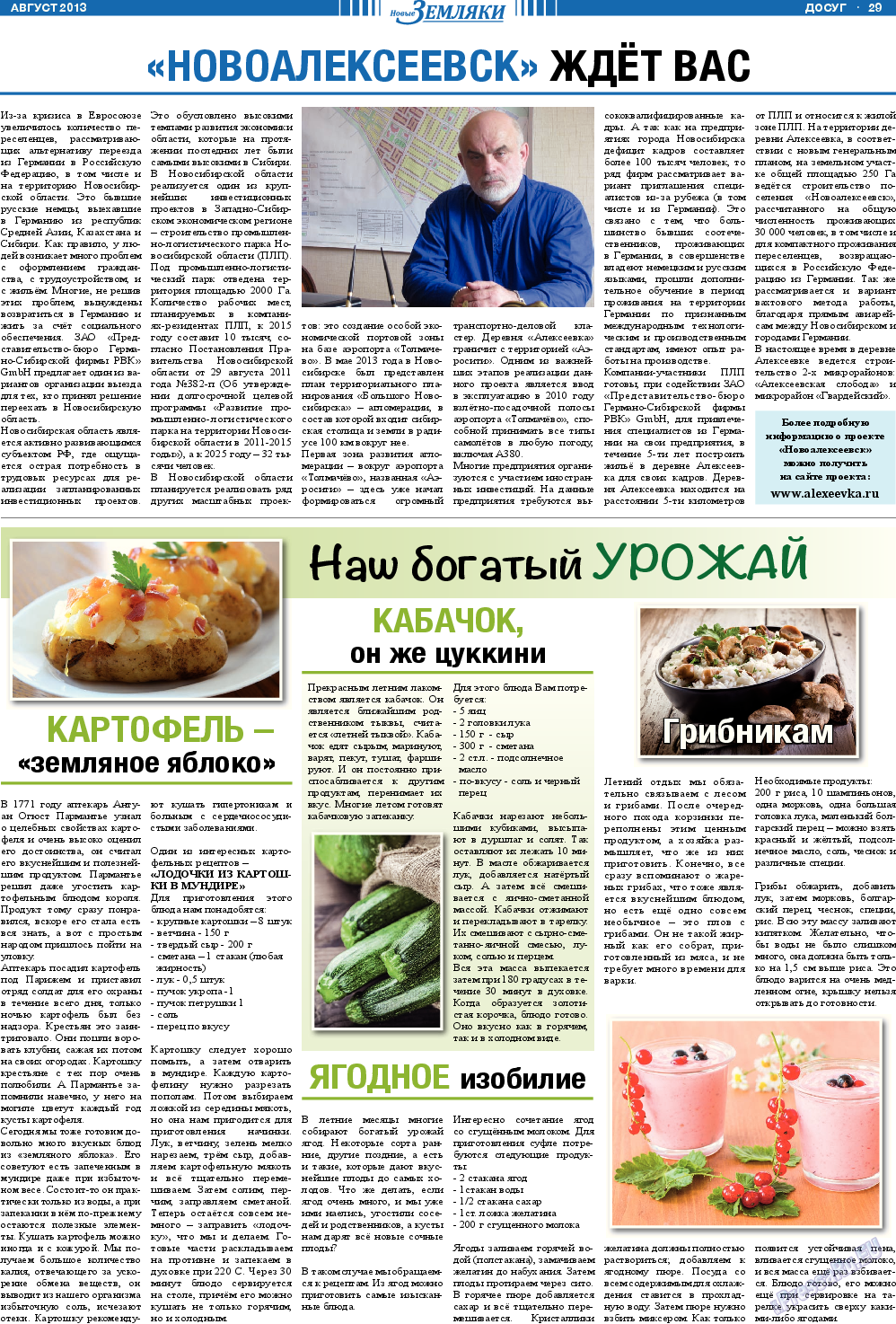 Новые Земляки, газета. 2013 №8 стр.29