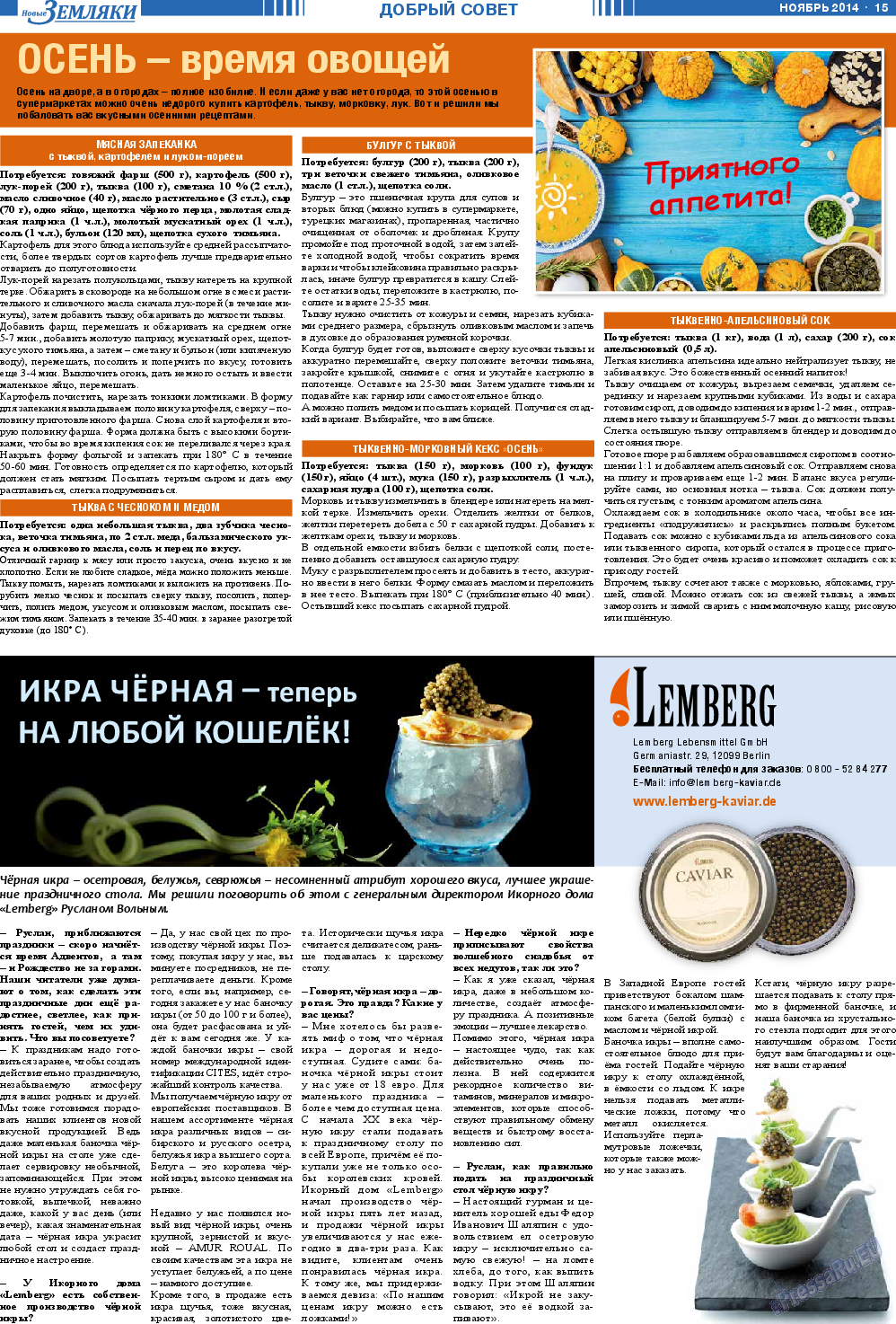 Новые Земляки, газета. 2014 №11 стр.15