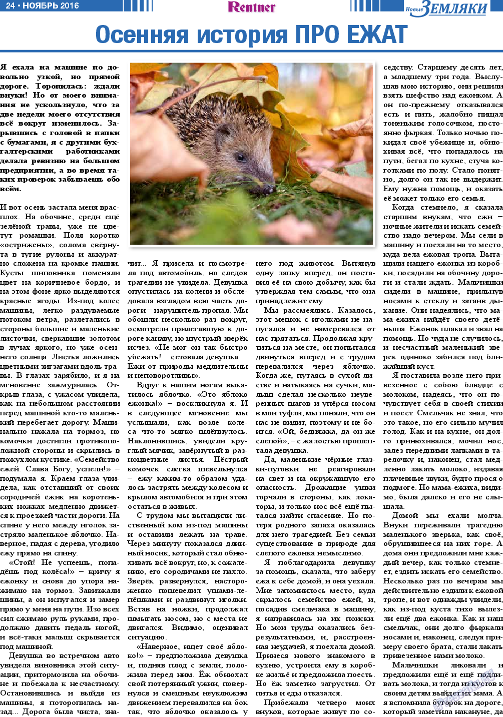 Новые Земляки (газета). 2016 год, номер 11, стр. 24