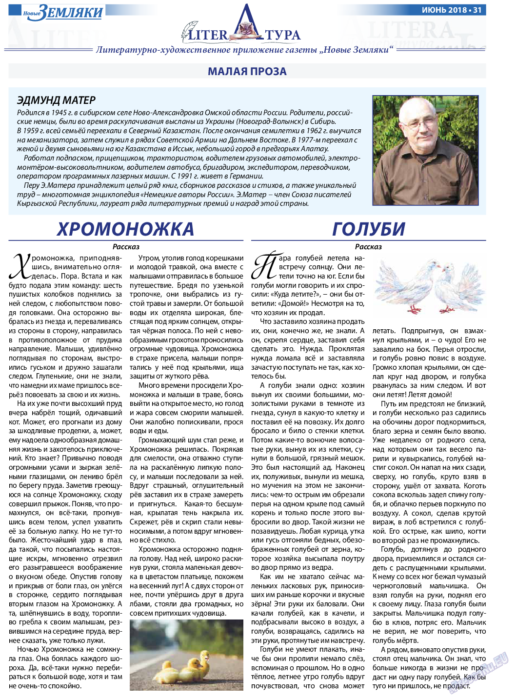 Новые Земляки (газета). 2018 год, номер 6, стр. 31