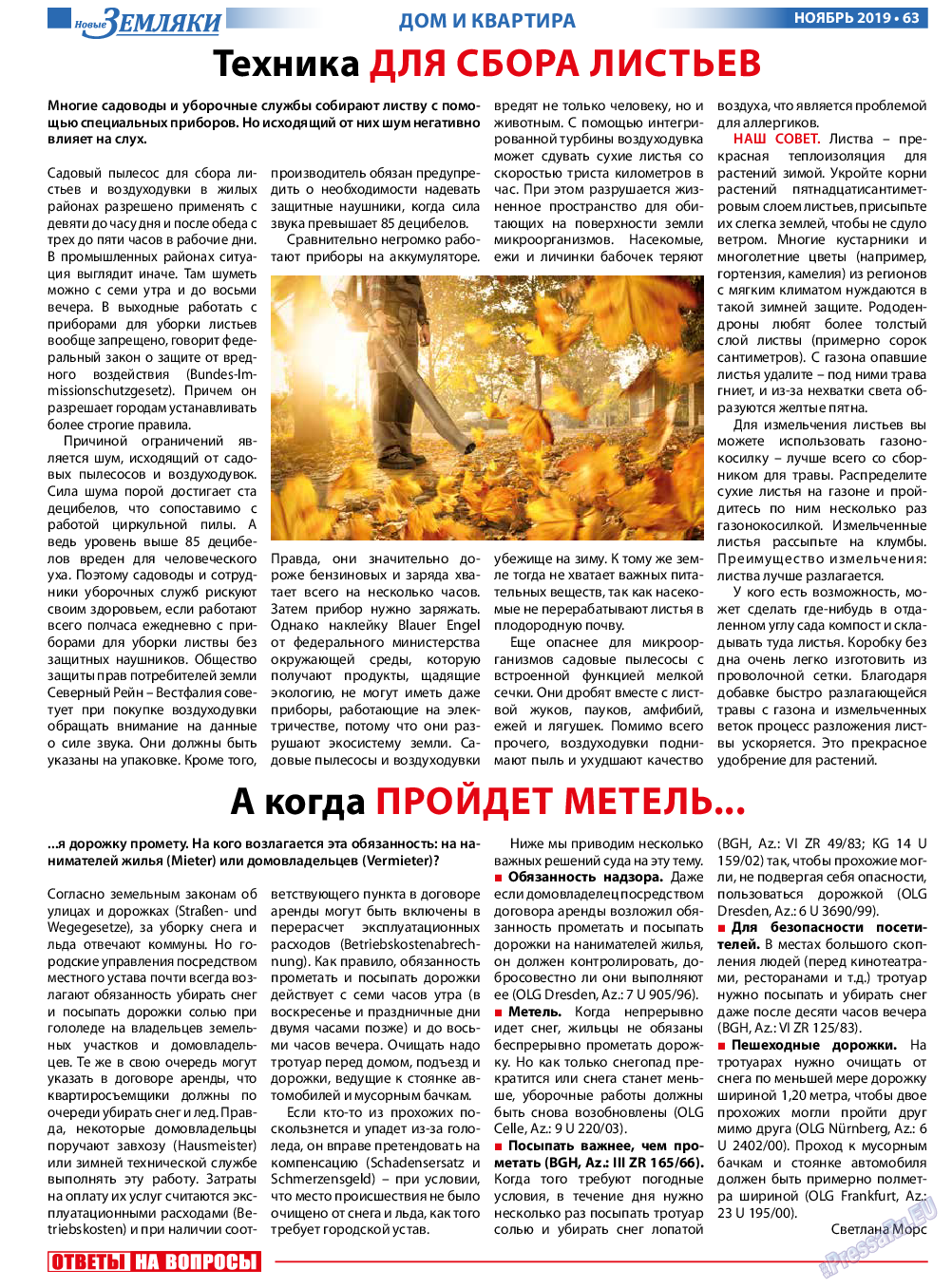 Новые Земляки, газета. 2019 №11 стр.63
