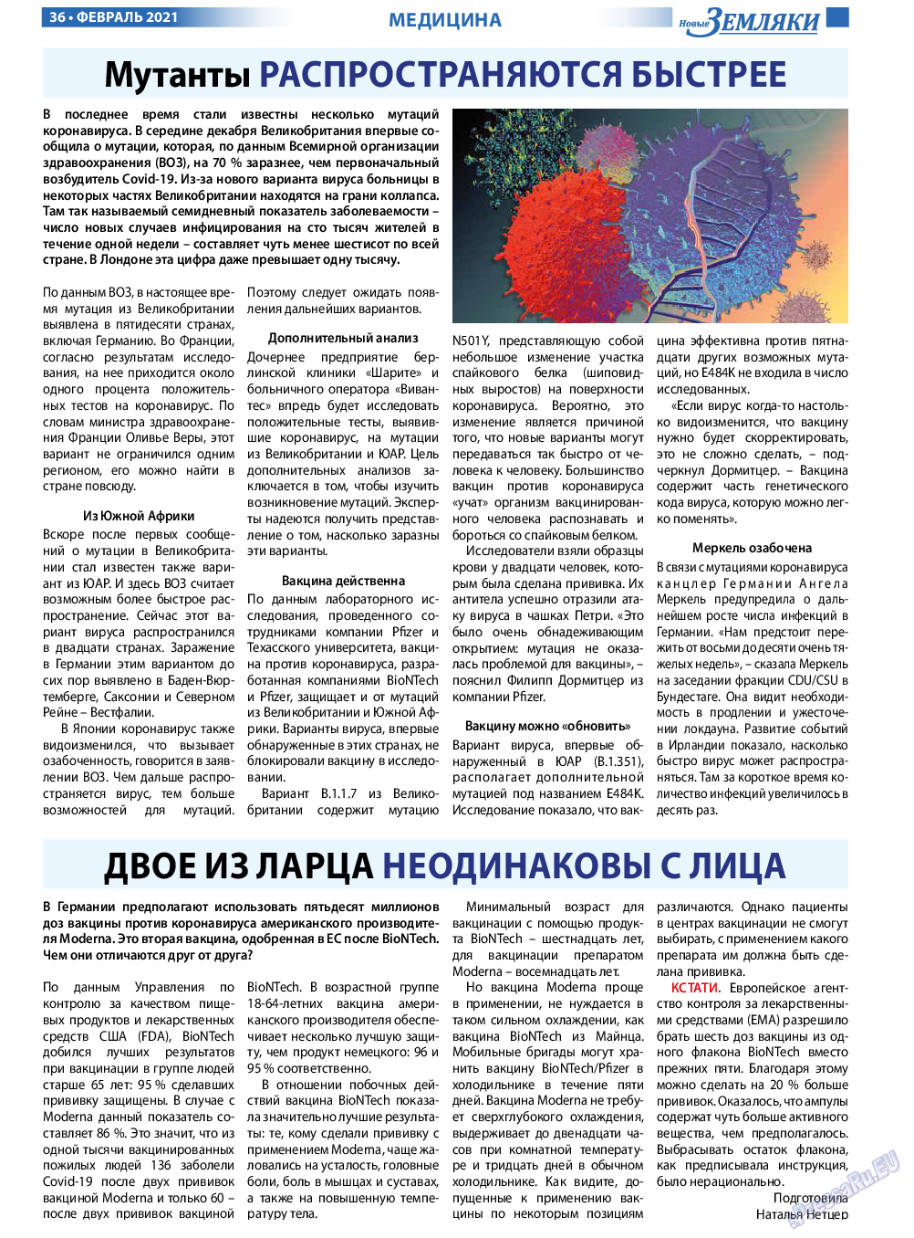 Новые Земляки, газета. 2021 №2 стр.36