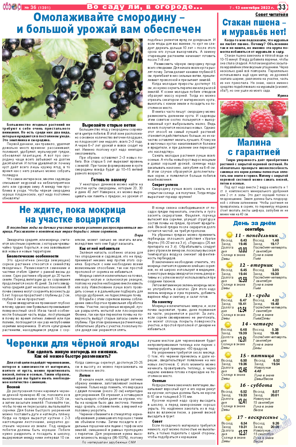 Обзор, газета. 2023 №36 стр.33