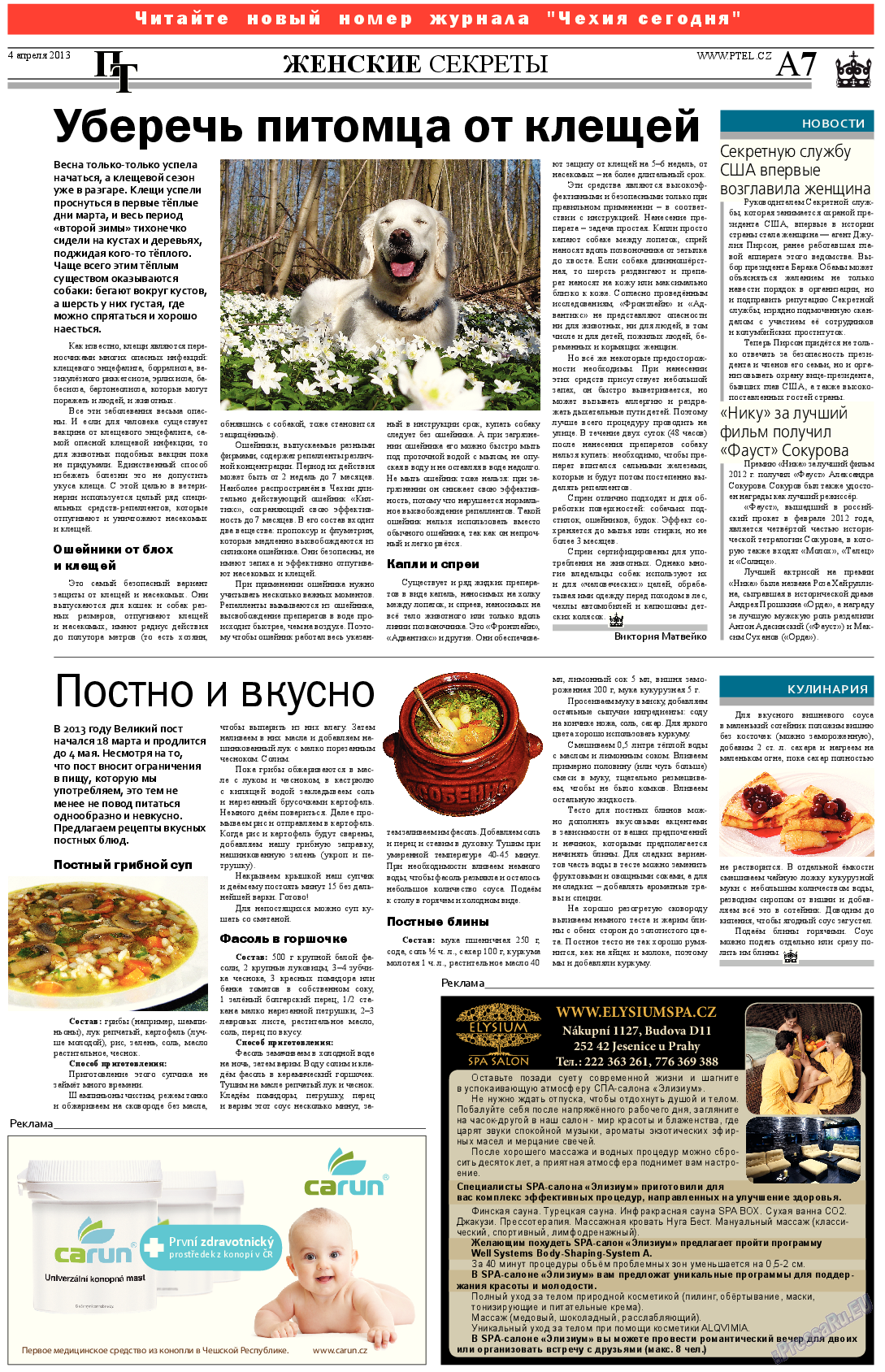 Пражский телеграф, газета. 2013 №13 стр.7