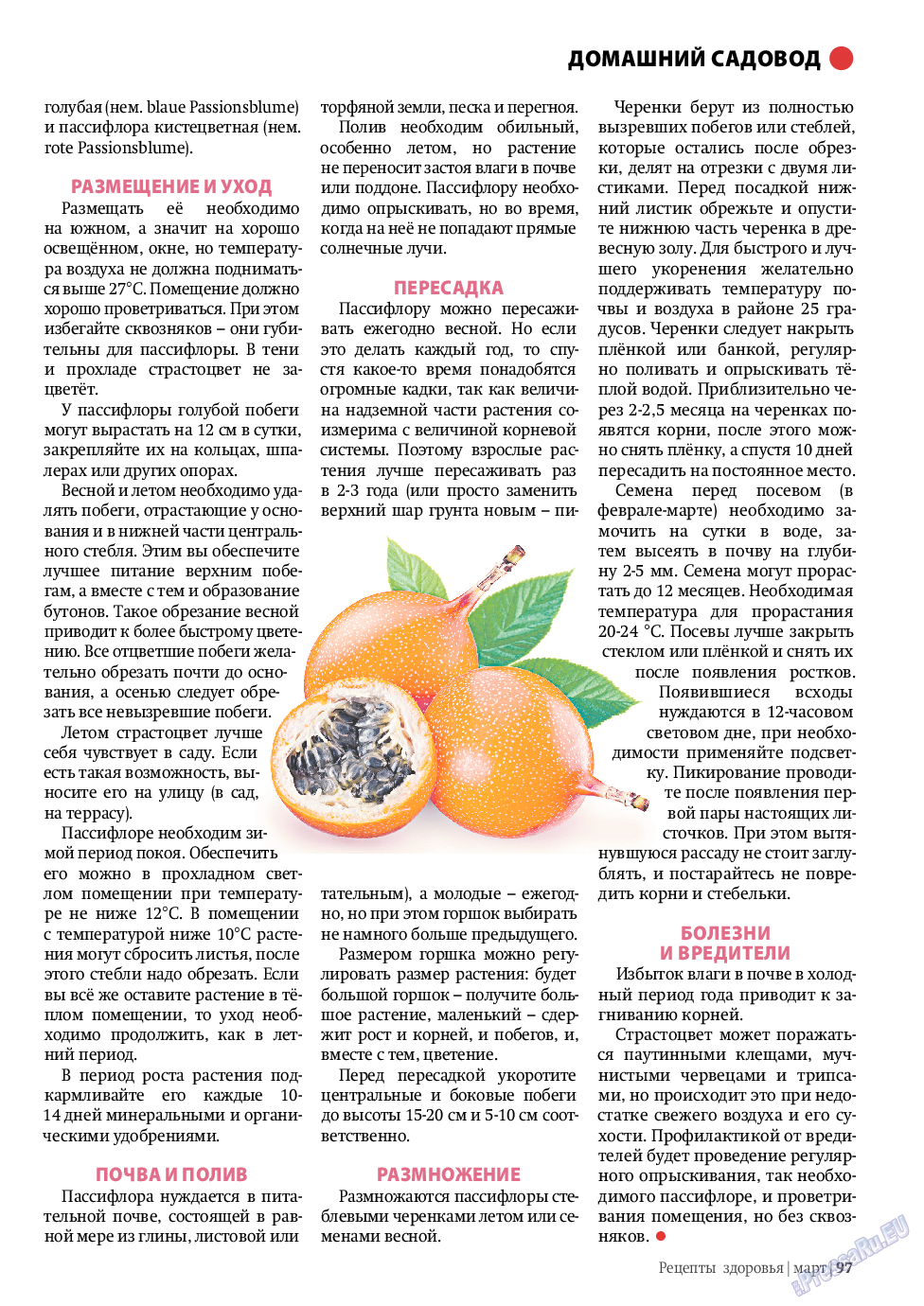 Рецепты здоровья, журнал. 2011 №3 стр.97